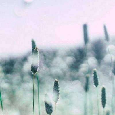 好运彩手机app下载